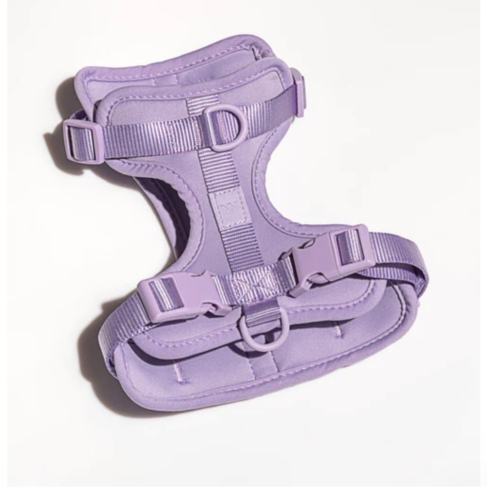 Wild One Harness for Dogs Large